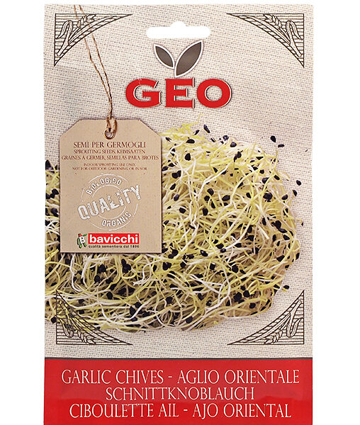 Био семена див чесън за покълване 6 гр