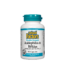 Acidophilus & Bifidus 10 Billion Active Cells Double Strength Ацидофилус бифидус 10 милиарда активни пробиотици 90 капсули от Vita Yana