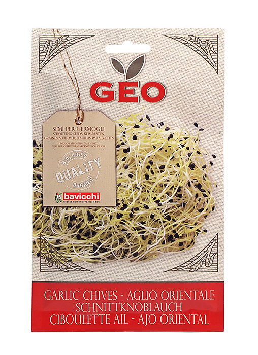 Био семена див чесън за покълване 6 гр от Vita Yana