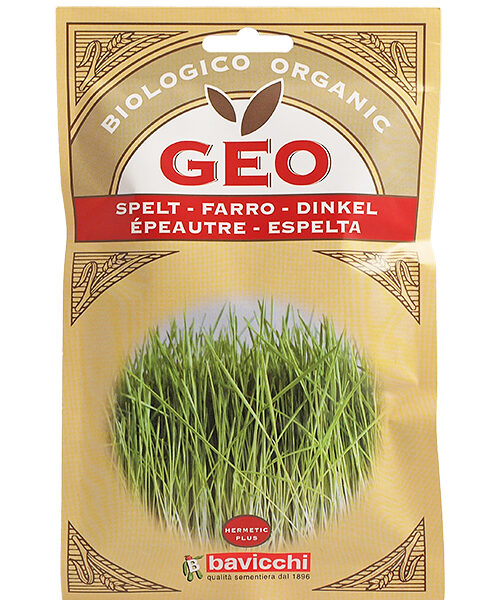 Био спелта за покълване и за стръкове 80 гр от Vita Yana