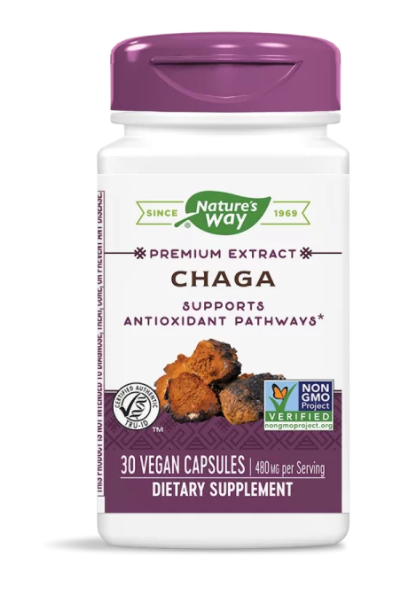 Chaga / Чага 480 mg x 30 капсули от Vita Yana