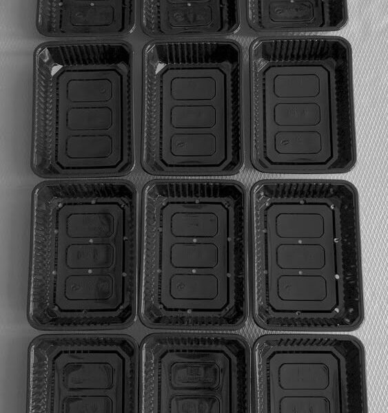 Съдове за отглеждане на микрор астения - 5 бр. комплекти (общо 10 бр. тарелки) от Vita Yana