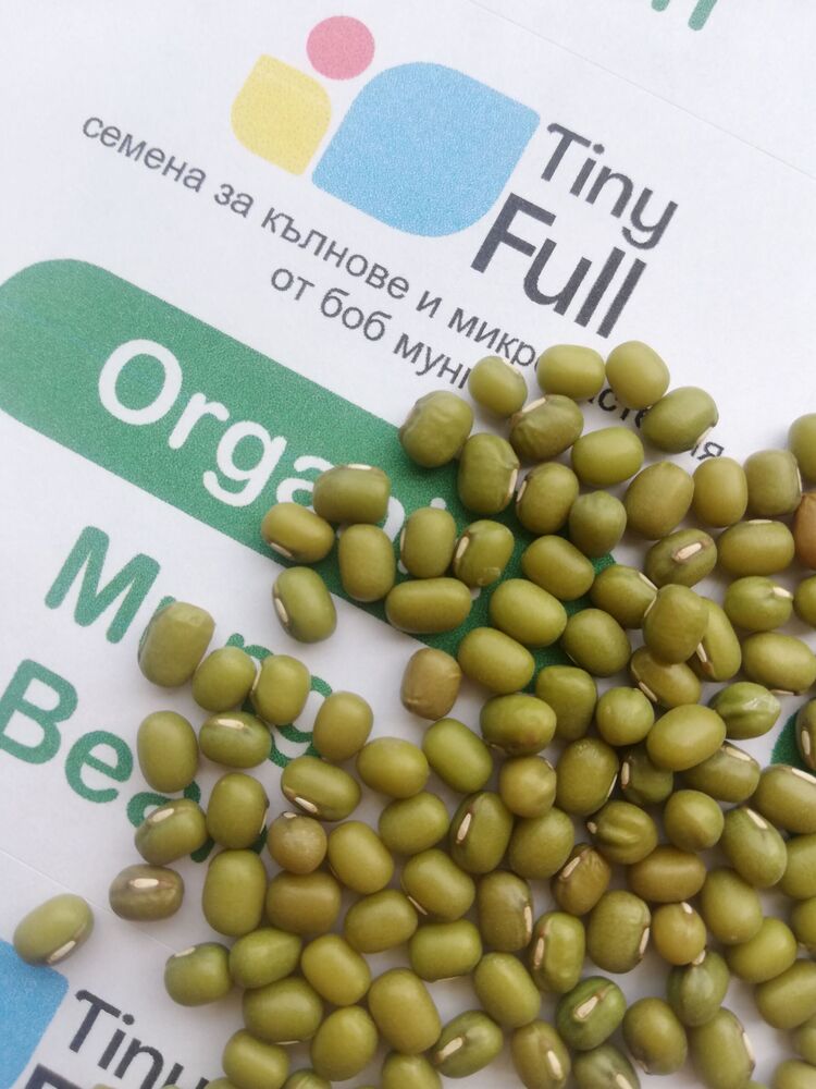 Семена от боб мунг (Organic Mung bean) от Vita Yana