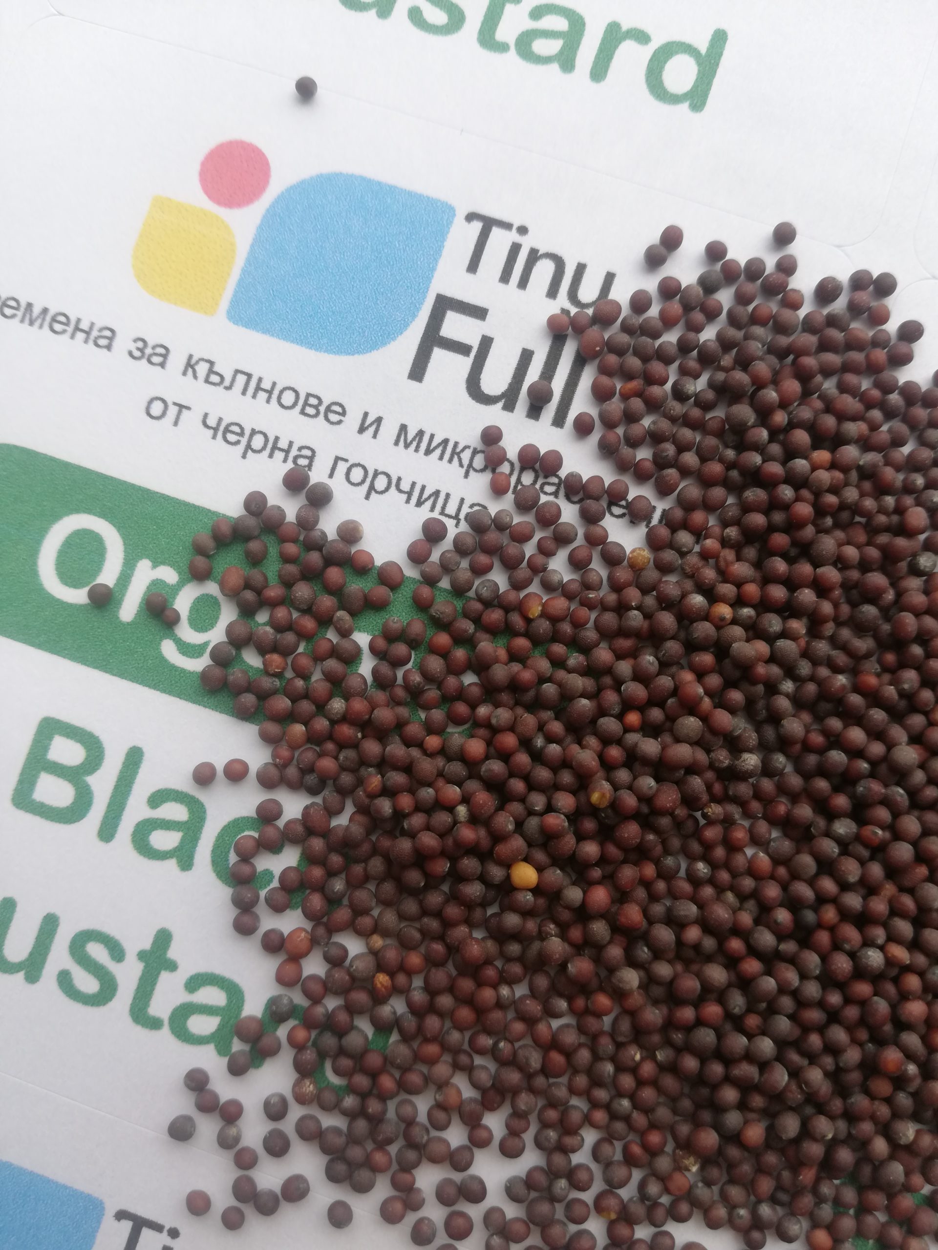 Семена от Черна Горчица (Organic Black Mustard) | Vita Yana Семена от Черна Горчица (Organic Black Mustard) от Vita Yana