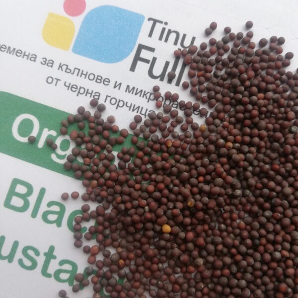 Семена от Черна Горчица (Organic Black Mustard) от Vita Yana