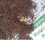 Семена от червен Алабаш (Organic Kohlrabi Red) от Vita Yana