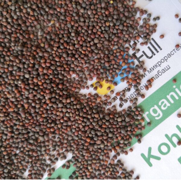 Семена от червен Алабаш (Organic Kohlrabi Red) от Vita Yana