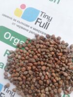 Семена от червена репичка (Organic Red Radish) от Vita Yana