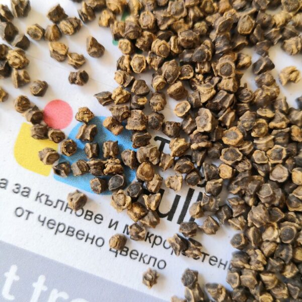 Семена от Червено Цвекло (Beet Red) от Vita Yana