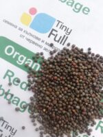 Семена от Червено Зеле (Cabbage Red) от Vita Yana