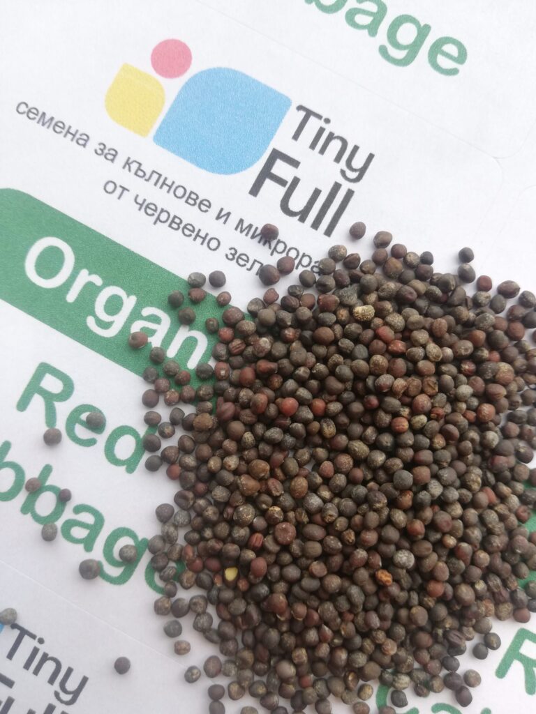 Семена от Червено Зеле (Cabbage Red) от Vita Yana