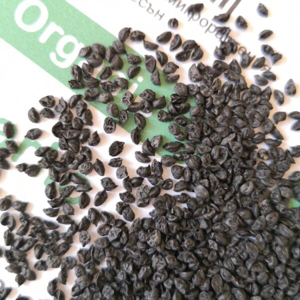 Семена от чесън (Organic Garlic) от Vita Yana