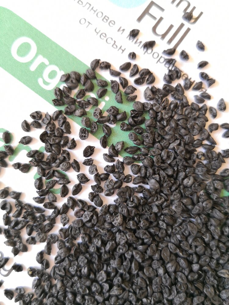 Семена от чесън (Organic Garlic) от Vita Yana