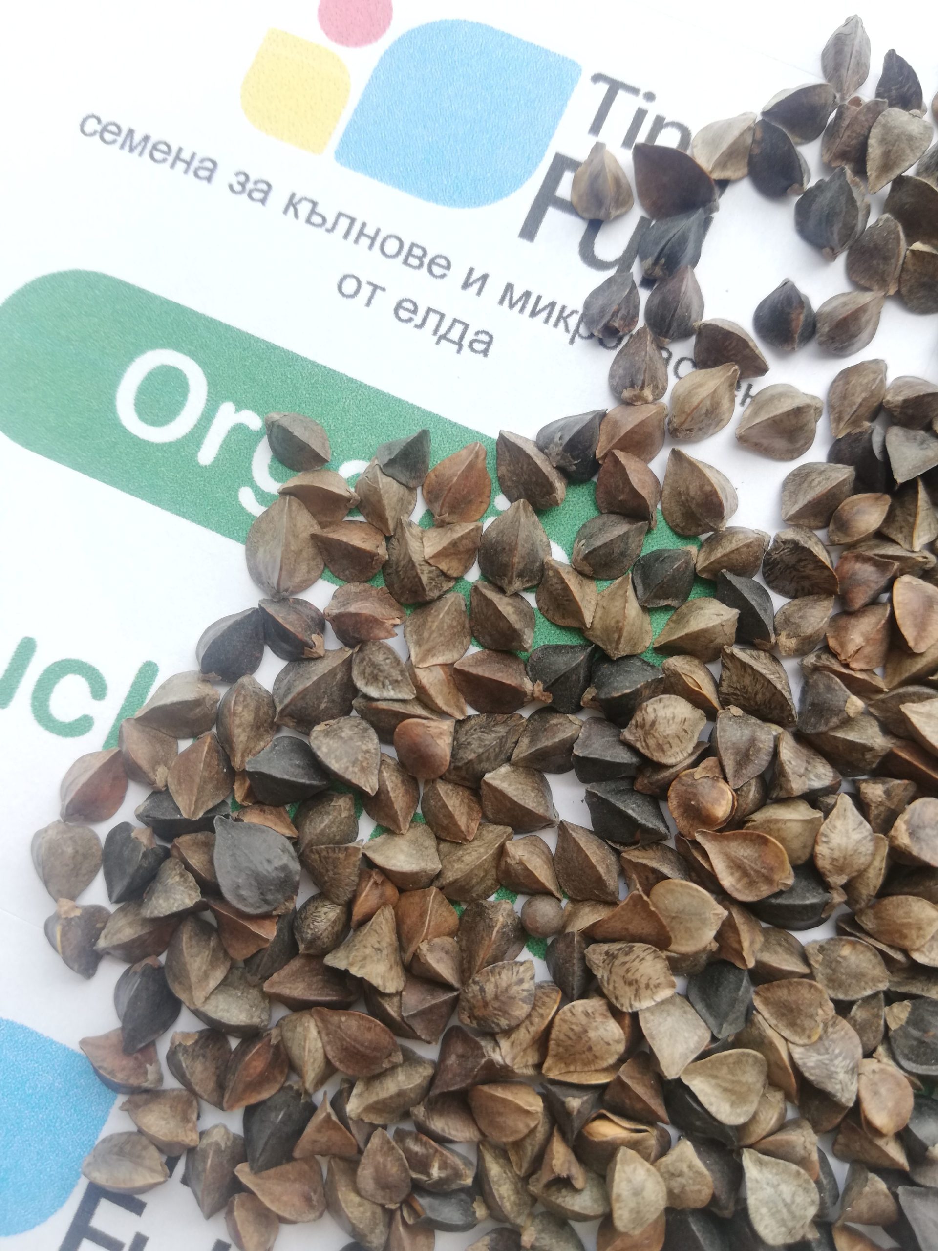 Семена от Елда (Organic Buckwheat) | Vita Yana Семена от Елда (Organic Buckwheat) от Vita Yana