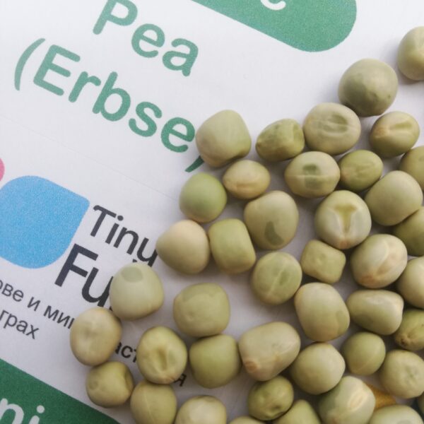 Семена от Грах (Organic Pea Tendril) от Vita Yana