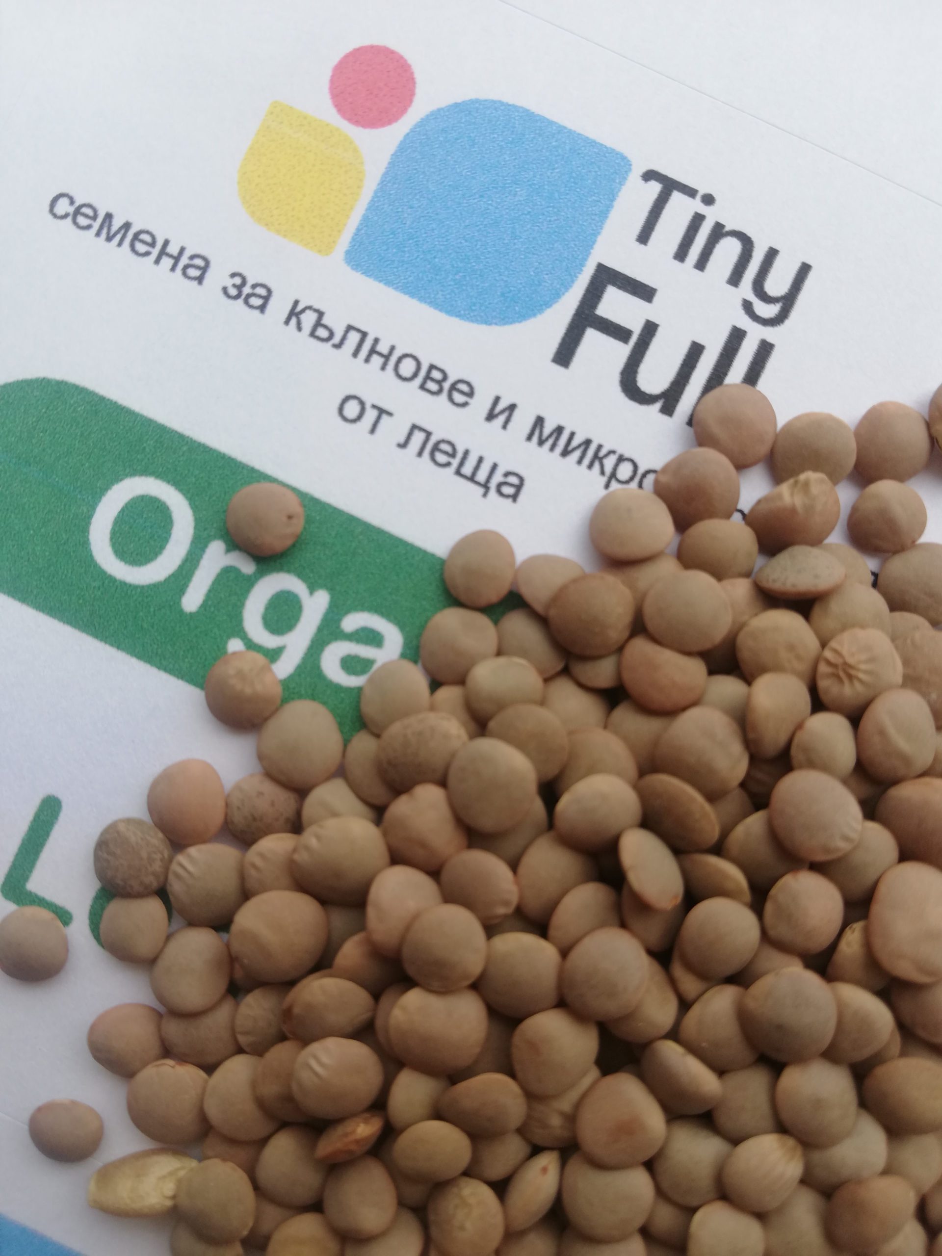 Семена от леща (Organic Lentil) | Vita Yana Семена от леща (Organic Lentil) от Vita Yana