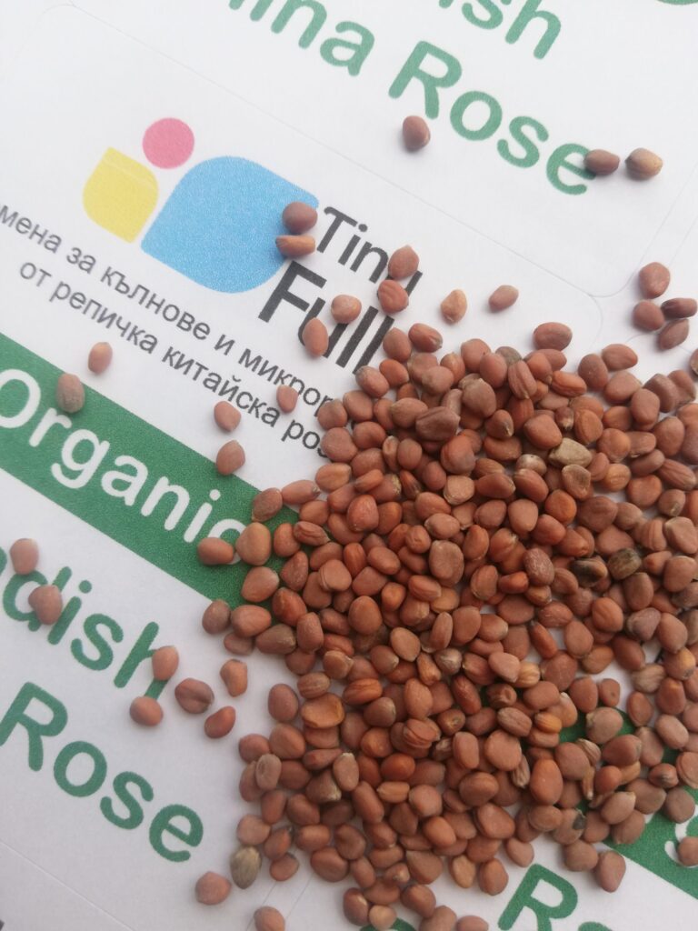 Семена от Репичка (Organic China Rose) от Vita Yana