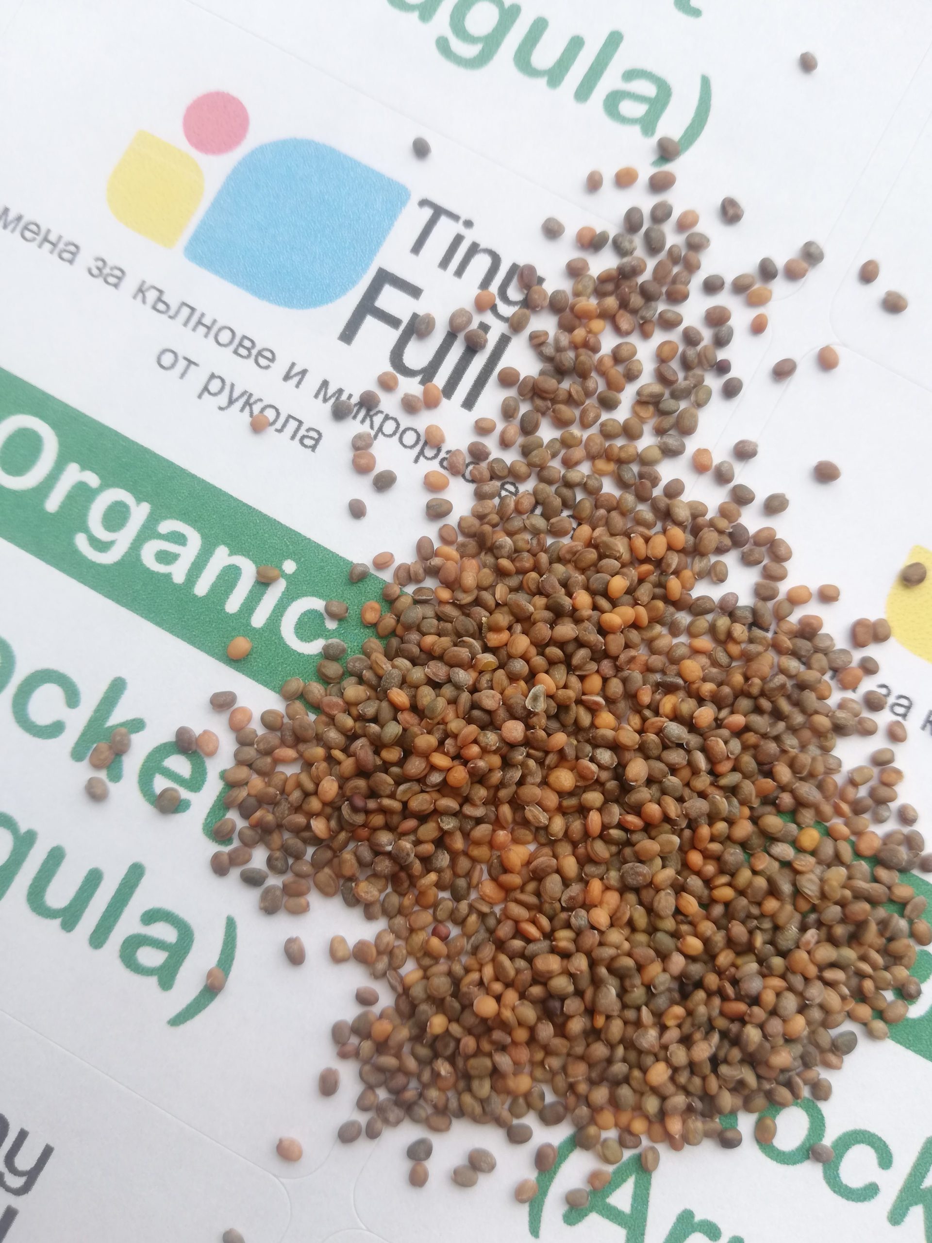 Семена от Рукола (Organic Rocket) | Vita Yana Семена от Рукола (Organic Rocket) от Vita Yana