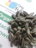 Семена от Слъчноглед (Organic Black Sunflower) от Vita Yana