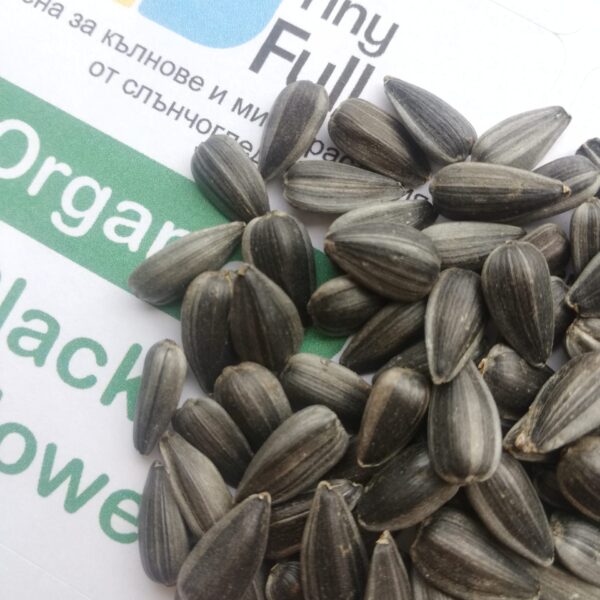 Семена от Слъчноглед (Organic Black Sunflower) от Vita Yana