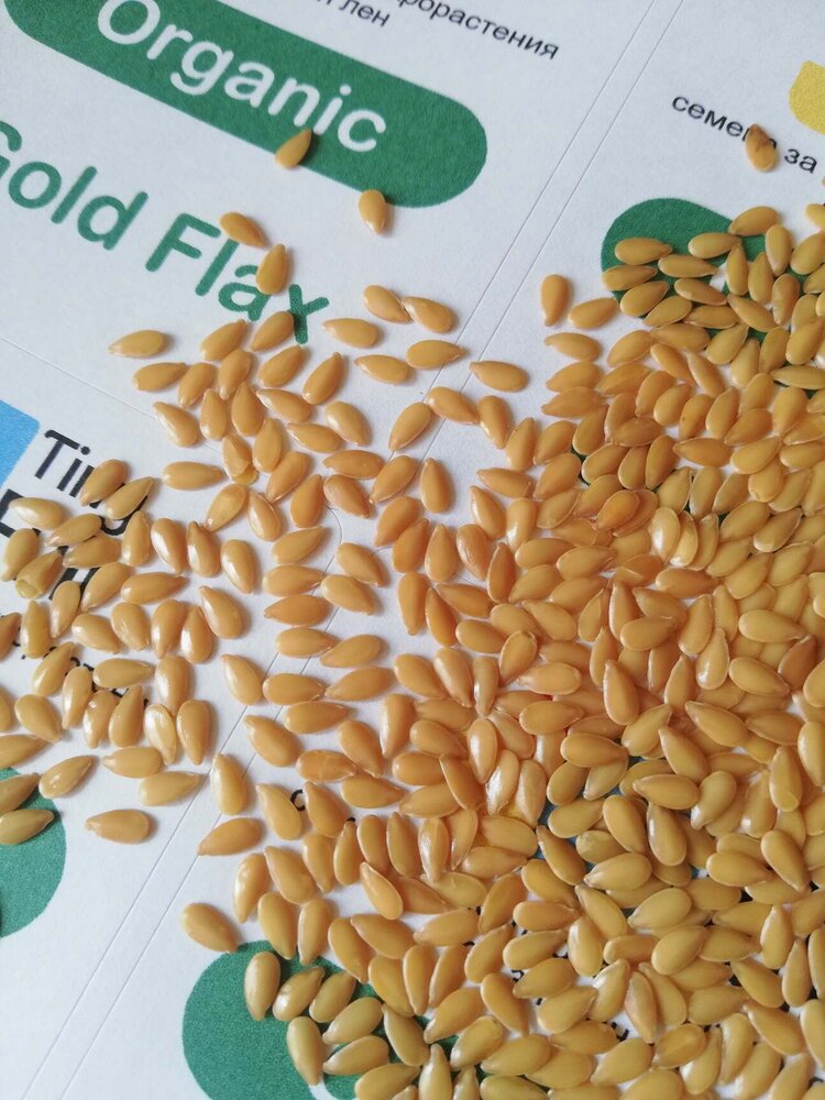 Семена от златен лен (Organic Golden flax) | Vita Yana Семена от златен лен (Organic Golden flax) от Vita Yana
