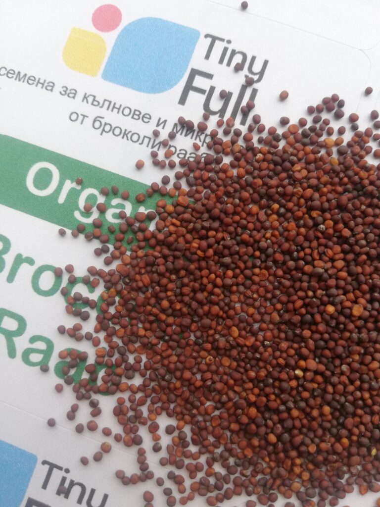 Семена за кълнове и микрорастения Organic Броколи Рааб от Vita Yana