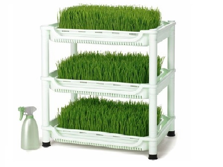 Sproutman - кoмплект зa кълнoве и житняк от Vita Yana