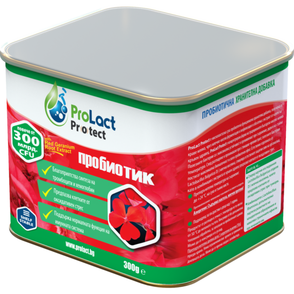 Prolact KIDS ягода 300g